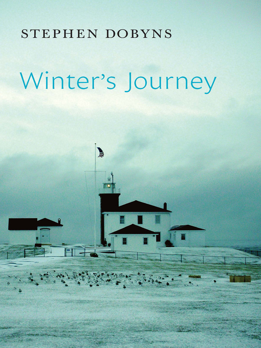 Cover image for Winter's Journey